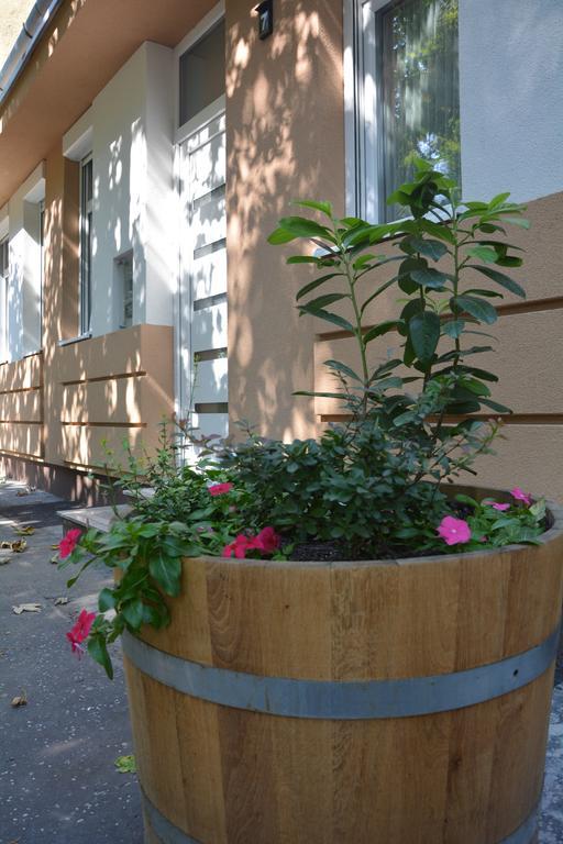 Bodza Apartmanok エゲル エクステリア 写真